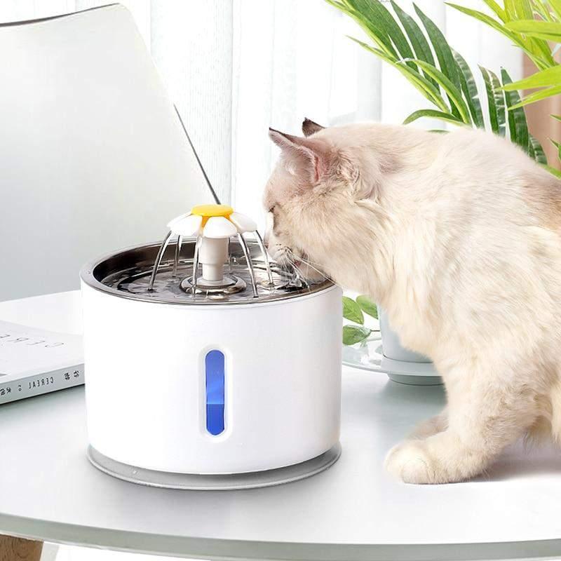 Bebedouro Pet Automático - Magic Fountain™-Magazine da Inovação-