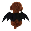 Fantasia Pet Batman - PetGadgets™-Magazine da Inovação-