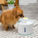 Bebedouro Pet Automático - Magic Fountain™-Magazine da Inovação-